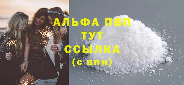 индика Абаза