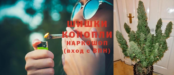 индика Абаза