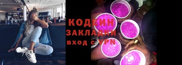 индика Абаза