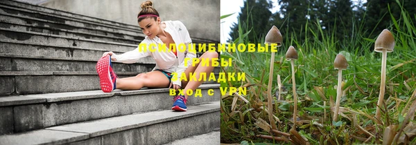 индика Абаза