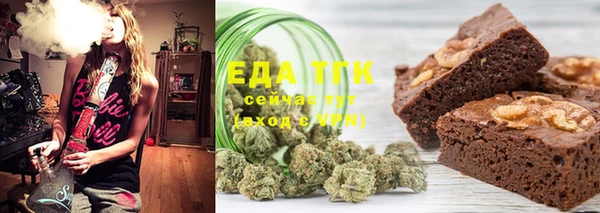 индика Абаза