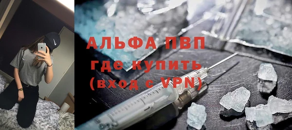 индика Абаза