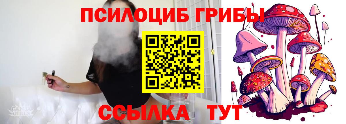 Псилоцибиновые грибы MAGIC MUSHROOMS  Вход с VPN  Липецк  Псилоцибиновые грибы Psilocybine cubensis 